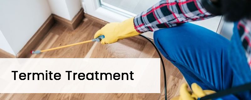 Chemical Termite Barrier Treatment