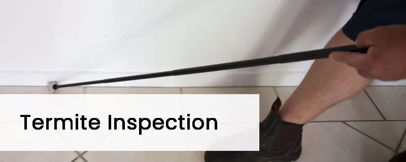 Termite Inspections
