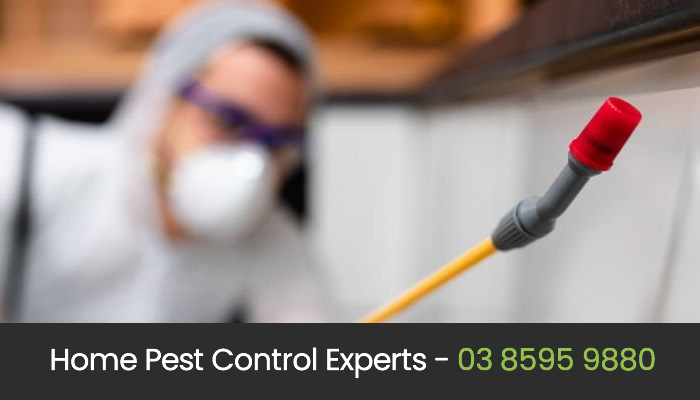 Eco Friendly Pest Control in Melbourne