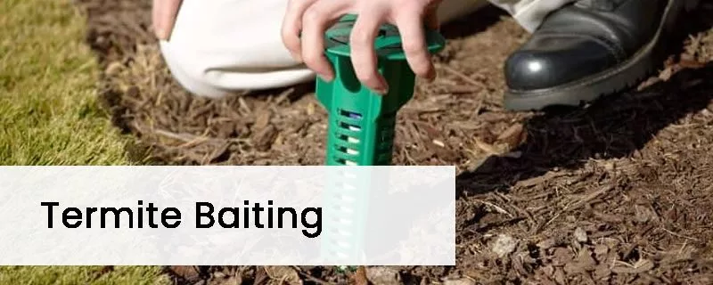 Termite Baiting System
