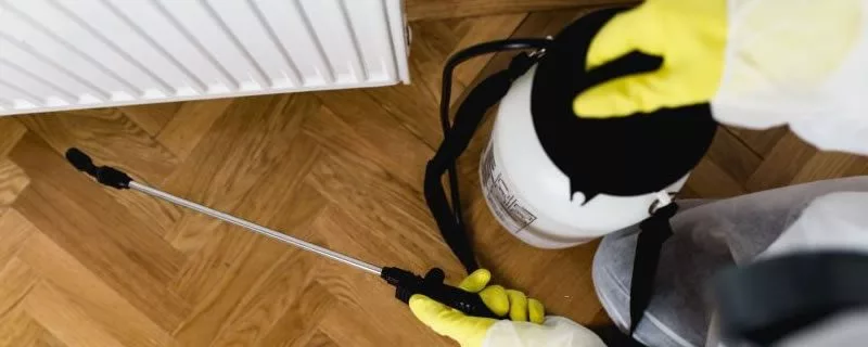 Termite Control Melbourne Southside Experts Phone: 03 8595 9880 Termite Control Melbourne Southside