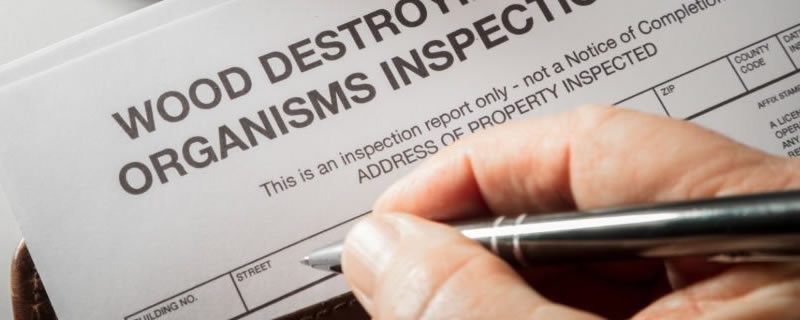Termite Inspection Reports